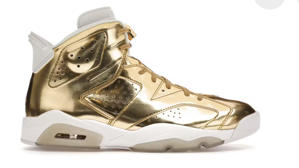 Jordan 6 retro Pinnacle