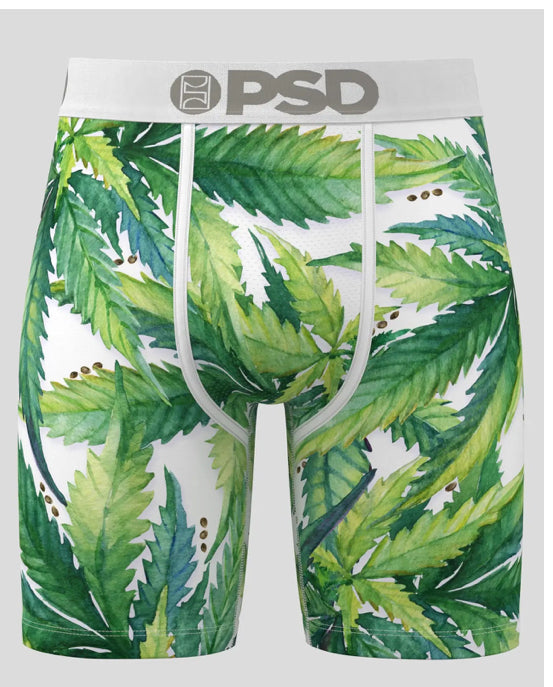 PSD Seeds & Stems
