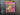 PSD Playboy Links
