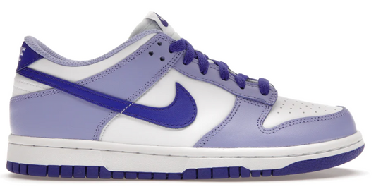 Nike Dunk Low Blueberry Dunk GS